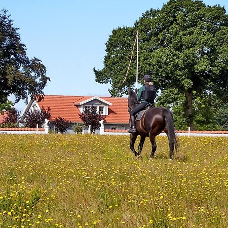 Møllegade 1 Holiday House Nordborg Exterior foto